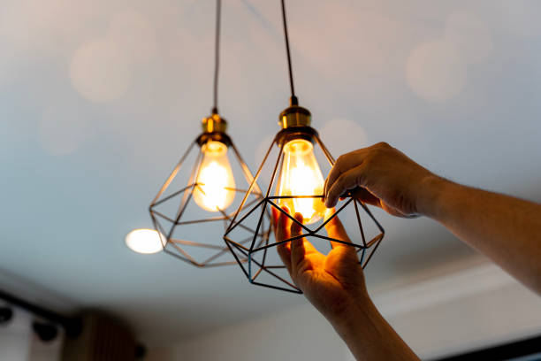 Best Electric Panel Repair  in Higginsville, MO